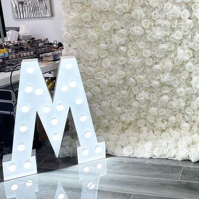 Customized Big Wedding Letters 12V Input Voltage Party Marquee Decoration with Lights